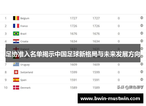 足协准入名单揭示中国足球新格局与未来发展方向
