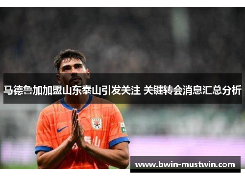 马德鲁加加盟山东泰山引发关注 关键转会消息汇总分析